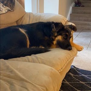 Meet your Posher, Danielle